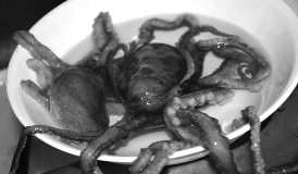 h ình 5 5 Món cá sống được nhiều người ưa chuộng http danviet vn h ình 5 6 4