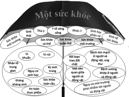 h ình 6 3 Chiếc ô hợp tác trong Một sức khỏe Nguồn One Health Sweden 2014 Phương 1