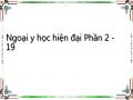 Ngoại y học hiện đại Phần 2 - 19