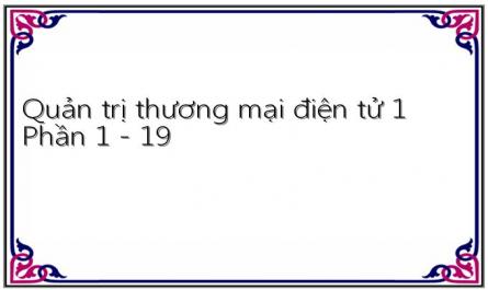 Quản trị thương mại điện tử 1 Phần 1 - 19