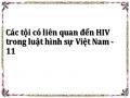 Các tội có liên quan đến HIV trong luật hình sự Việt Nam - 11