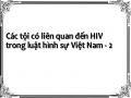 Các tội có liên quan đến HIV trong luật hình sự Việt Nam - 2