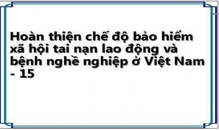 Hoàn thiện chế độ bảo hiểm xã hội tai nạn lao động và bệnh nghề nghiệp ở Việt Nam - 15