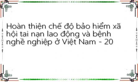 Hoàn thiện chế độ bảo hiểm xã hội tai nạn lao động và bệnh nghề nghiệp ở Việt Nam - 20