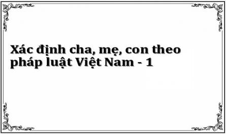 Xác định cha, mẹ, con theo pháp luật Việt Nam - 1