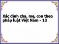 Xác định cha, mẹ, con theo pháp luật Việt Nam - 13