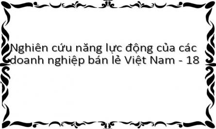 Định Hướng Nâng Cao Năng Lực Động Của Các Doanh Nghiệp Bán Lẻ Việt Nam