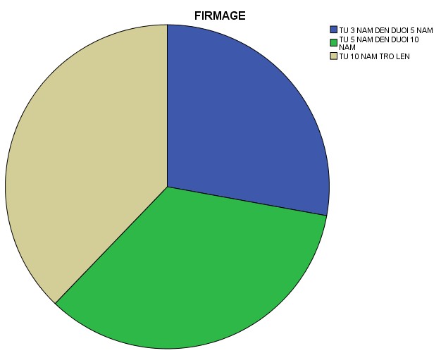 5 NAM DEN DUOI 10 NAM 69 34 3 34 3 62 2 TU 10 NAM TRO LEN 76 37 8 37 8 100 0 Total 201 100 0 100 0 1