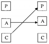 Hình 6 5 Giao dịch kín CÁC YẾU TỐ CHI PHỐI ĐẾ GIAO TIẾP NHÂN SỰ 6 3 1 Tri giác 5