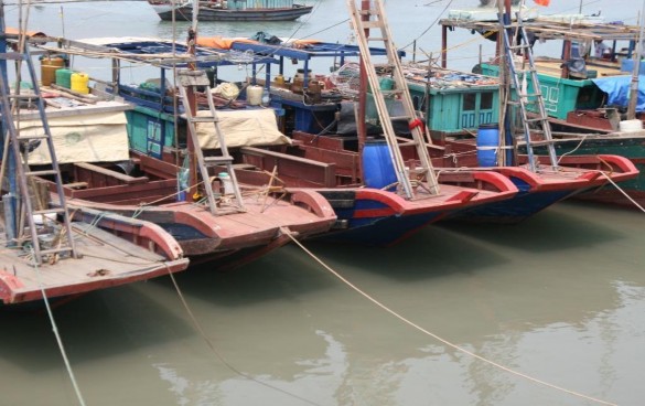 Ảnh 15 Thuyền mũi bằng ở đảo Vạn Cảnh xã Vạn Cảnh Vân Đồn Nguồn tác 14