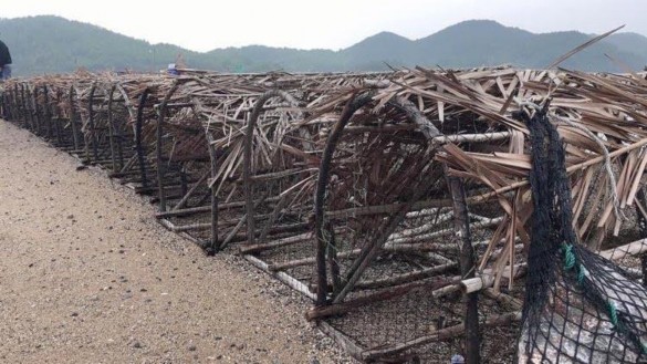 Ảnh 13 Lồng bẫy mực xã đảo Minh Châu Vân Đồn Nguồn tác giả tháng 4 2019 15