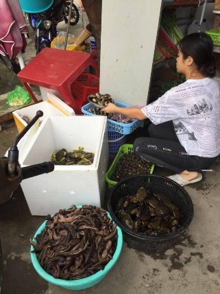 Ảnh 19 Buôn bán hải sản ở chợ Cái rồng Vân Đồn Nguồn tác giả tháng 7 2019 3