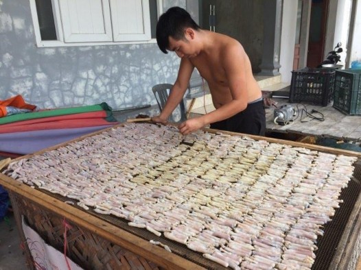 Ảnh 21 Chế biến sá sùng xã Quan Lạn Vân Đồn Nguồn Hoàng Xuân Khương tháng 7 5