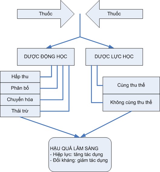 Ý nghĩa lâm sàng hiểu được sự tương tác thuốc để có thể dự đoán và 1