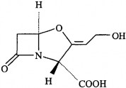Acid clavulanic Sulbactam Tazobactam MONOBACTAM Trong cấu trúc chỉ có nhân β – lactam 5