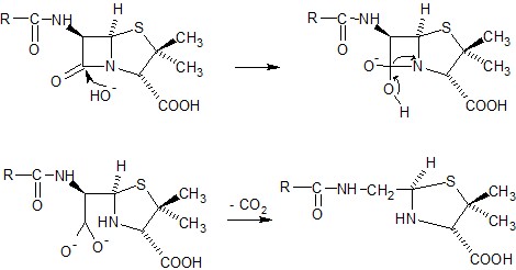 Acid peniciloiic Sự phân hủy trong môi trường acid Nhóm carbonyl của vòng β – 2