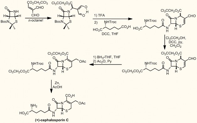 Các tính chất lý hóa và ứng dụng tương tự penicillin Phổ kháng khuẩn của các 4
