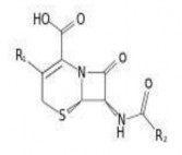 Đặc điểm Có hoạt tính mạnh nhất so với các thế hệ tiếp theo đối với 5