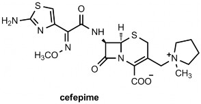 Cefpirome Đặc điểm Có hoạt tính trên vi khuẩn gram dương tương tự thế hệ I 5