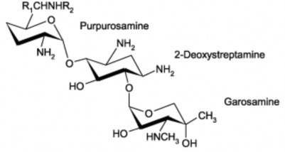 Tính chất Bột trắng dễ tan trong nước khó tan trong ethanol và dung môi hữu cơ 7
