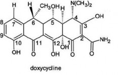 Tính chất Do vị trí 6 không có nhóm hydroxy nên doxycylin vững bền trong môi 6