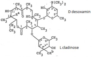 Tính chất Bột hoặc tinh thể trắng hoặc hơi vàng vị rất đắng khó tan trong 9