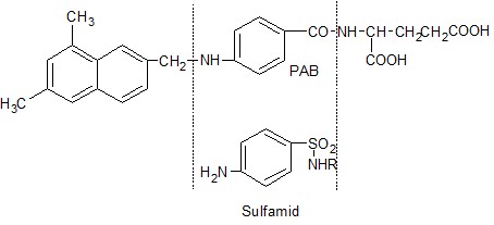 Ngăn cản tổng hợp acid folic của vi khuẩn Tranh chấp với PABA trong quá trình 13