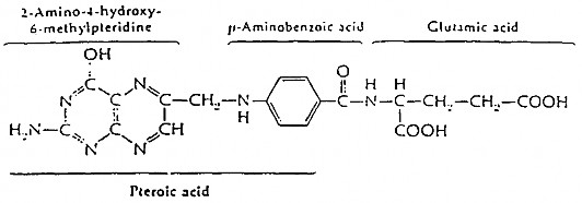 1 3 Phổ tác dụng Các sulfamid có hoạt phổ rộng Trên nhiều vi khuẩn Gr và Gr ít 14