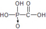 Foscarnet Acide Phosphonoacetic Có hoạt tính kháng virus Herpes simplex 1 Zona Epstein – 3