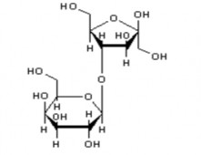 C 12 H 22 O 11 Tên khoa học 4 O β D galactopyransyl D arabino hex 2 ulofuranose Kiểm nghiệm 2