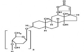 CTPT C 41 H 64 O 16 Tính chất có nguồn gốc từ lá cây Digitan lông Digitalis lanata 5