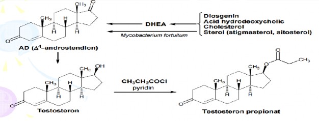 Tính chất 20 o o Testosteron propionate co dạng bột kết tinh trắng không mùi bền 5