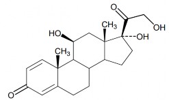 C 21 H 28 O 5 ptl 360 45 Tên khoa học 11β 17 21 – trihydroxy pregn – 1 4 – dien – 3 20 5