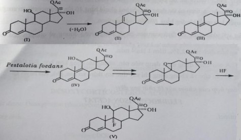 Tính chất Chế phẩm có dạng tinh thể trắng phân hủy ở 260 262 0 C Rất ít tan 1