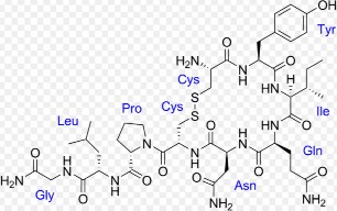 C 43 H 66 N 12 O 12 S 2 ptl 1007 Oxytocin là một nonapeptid vòng được điều chế bằng 4