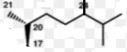 Dehydro 7 stigmaterol Vitamin D5 sitocalciferol Nhân cyclopentanoperhydrophenatren có 17 carbon 7