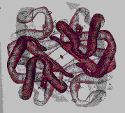 Hình 3 1 Phân tử Oxyhemoglobin Một nguyên tử sắt trong một bán đơn vị của Hb 2