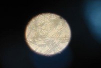 Hình b Tinh thể magie amoni photphat có dạng hình hộp nắp hộp hoặc hình sao HS nêu 2