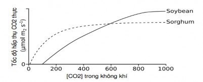 Hình 2 Lượng CO 2 hấp thụ trên khối lượng lá khô mg CO 2 g Ngày Trước xử lý 1