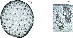 8 Cấu trúc mũi tên chỉ trong hình có chức năng nào sau đây a Để bảo vệ vòi 9