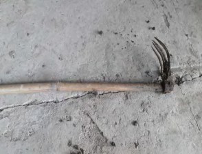 Hình 4 1 11 Chỉa có răng Ngoài ra nếu nuôi với diện tích nhỏ như trong khay chậu 3