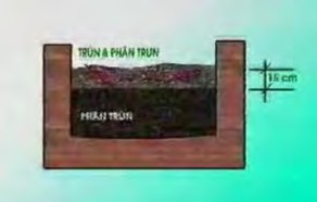 Bước 3 Xác định độ dày sinh khối cần được xới đảo độ dày sinh khối 7