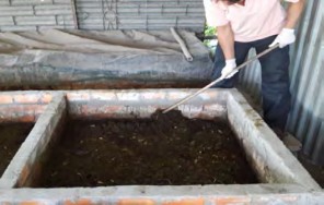 Hình 4 1 15 Xới đảo bằng tay Hình 4 1 16 Xới đảo bằng chỉa Bước 5 Kiểm tra 9