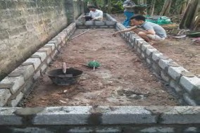 Hình 4 6 1 Nền bằng đất Hình 4 6 2 Nền bằng hồ non Độ cao của luống nuôi 1