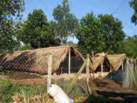 Chỗ nuôi trùn phải có mái che để tránh mưa tránh nắng … Mái che nên cách mặt 3