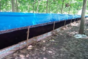 Hình 4 6 4 Mái che bằng bạt nilon Hình 4 6 5 Mái che bằng tôn Lưu ý Khi chọn bạt 4