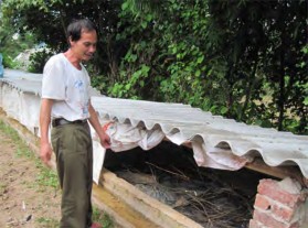 Hình 4 6 4 Mái che bằng bạt nilon Hình 4 6 5 Mái che bằng tôn Lưu ý Khi chọn bạt 5