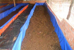 Đổ chất nền thành đống tròn đường kính khoảng l m đến l 2 m cao khoảng 10 6