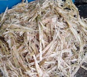 1 4 5 Bã mía Bã mía tốt khi nhìn vào chúng ta thấy nó có màu trắng sáng Hình 1 4 12