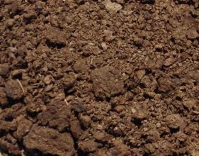 Hình 1 4 1 Phân bò tươi Hình 1 4 2 Phân bò khô 1 1 2 Phân lợn Phân lợn được 2